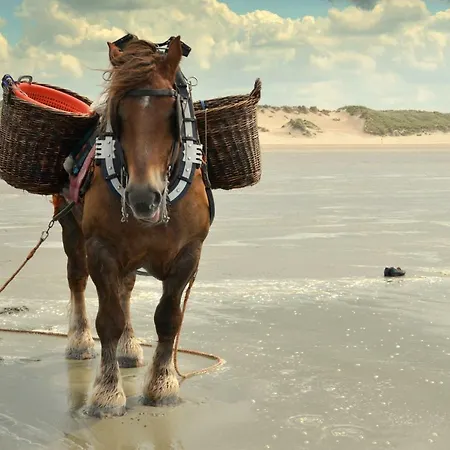 Boutique 'hof Ter Duinen' Oostduinkerke