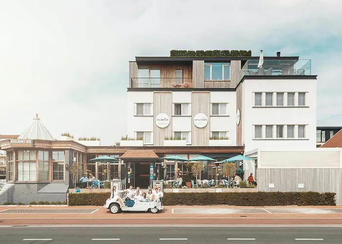 酒店 Boutique 'hof Ter Duinen'